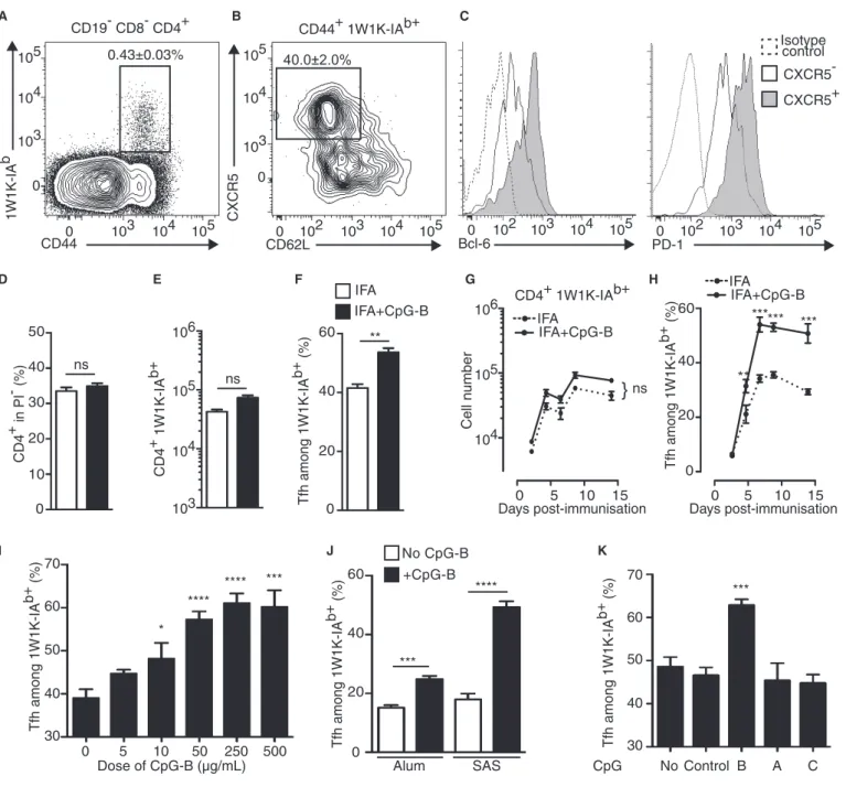 Figure 1. Adjuvantation with CpG-B of other vaccine adjuvant promotes Ag-specific Tfh-cell development.