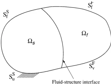 Figure  4-2:  General  fluid-structure  interaction  problem.