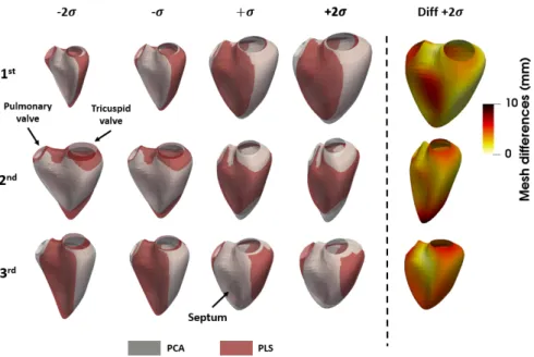 Fig. 3: Comparison of the first three modes of variations for the shape descriptor for both dimensionality reduction strategies.