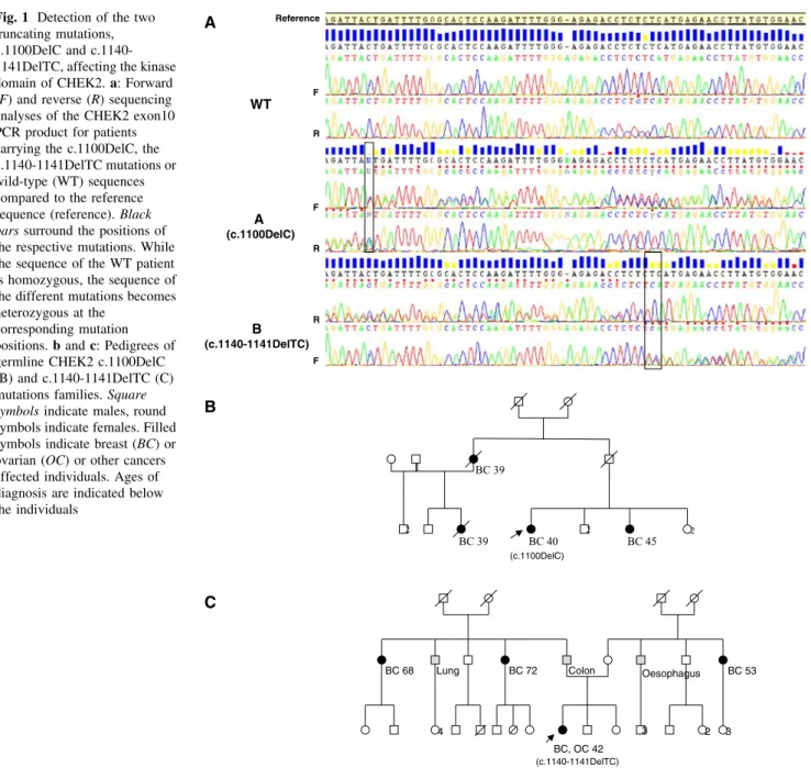 Fig. 1 Detection of the two truncating mutations, c.1100DelC and  c.1140-1141DelTC, affecting the kinase domain of CHEK2