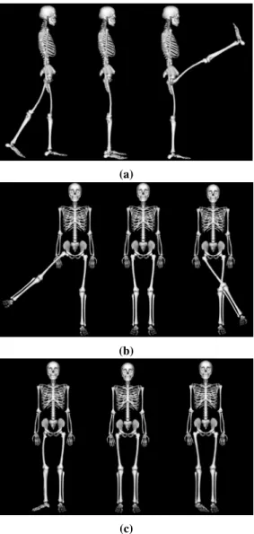 Fig. 10: Knee joint conventions and range of motions.