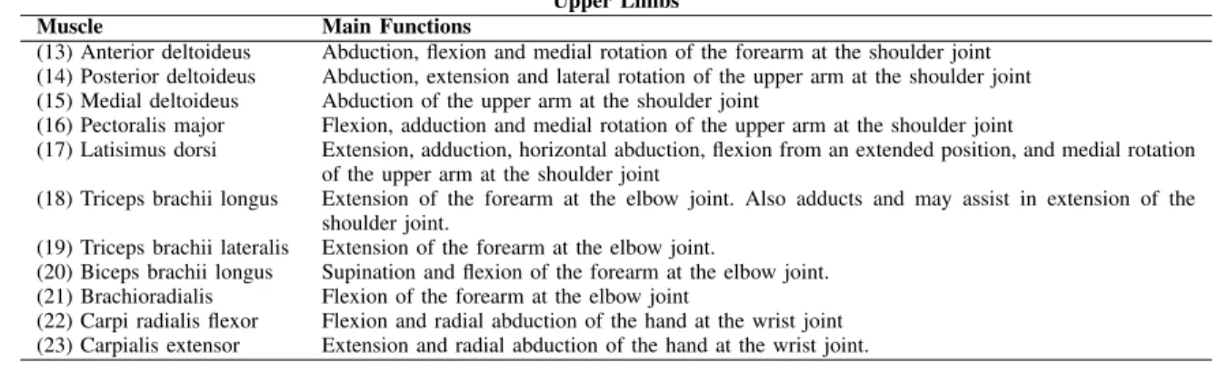 TABLE IV: Upper body muscles of the whole body model and their mechanical action