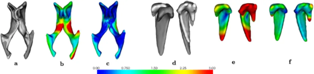 Fig. 2. Experiments on synthetic data. From left to right: Experiments on two different structures: ventricles and caudate nuclei