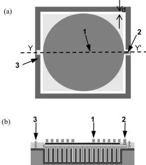 Fig. 1.  Schematic (a) top view and (b) cross-section view  along (YY’) of the integrated LC filter