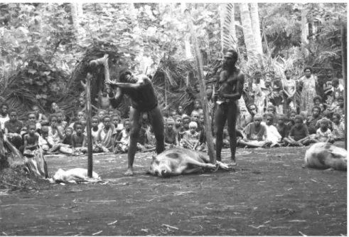 Figure 12 : Sacrifice de cochons lors d'un namangi, Lamap (photographie 1. Dousset, 2008).