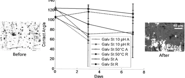 Figure  3-3:  Graph  of advancing  (A)  and  receding  (R)  contact  angles  over time  during water  immersion testing on  galvanized  steel  with  P2i  coating