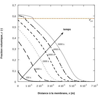 Figure 2 : Evolution du profil de concentration au cours du temps – J=110 L.h -1 .m -2