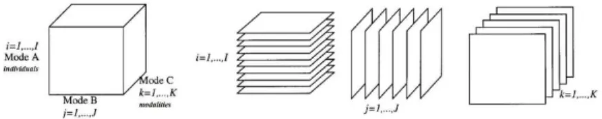 Fig. 1 Structure of the three-way dataset