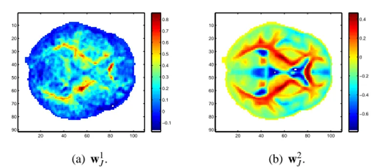 Fig. 3 Entire brain. MFDA weights vectors (w 1 J , w 2 J ) for λ = 10,000.