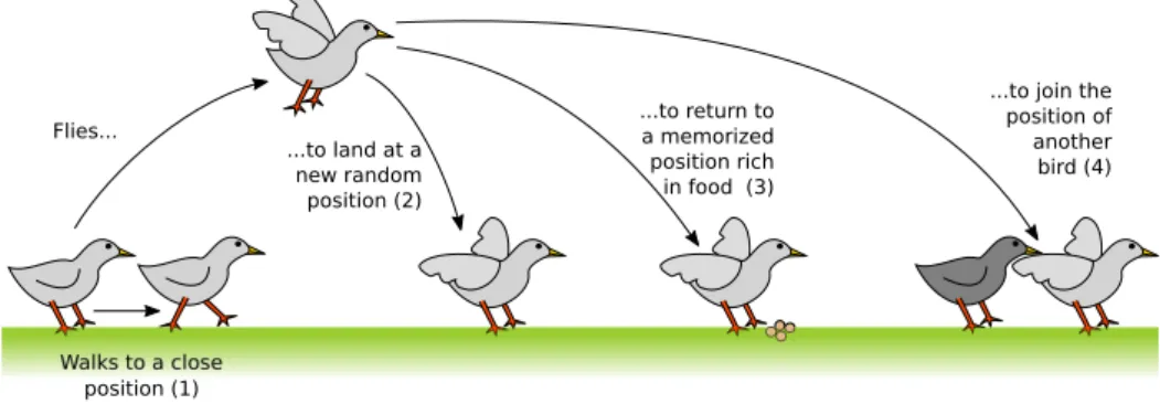 Figure 1: The four types of move observed on birds when they are searching for food.