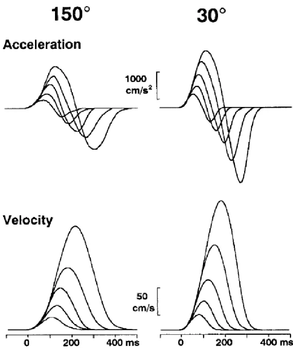 Figure  2 :  Cinématique  de  segments  de  mouvement  dans  deux  directions  à  cinq  distances  différentes