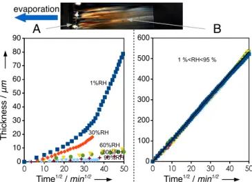 Fig. 5. The increase in thickness of different phases in the interfacial layer as a function of time, as obtained from the optical microscopy images (Top) (POPC/OG/water system)