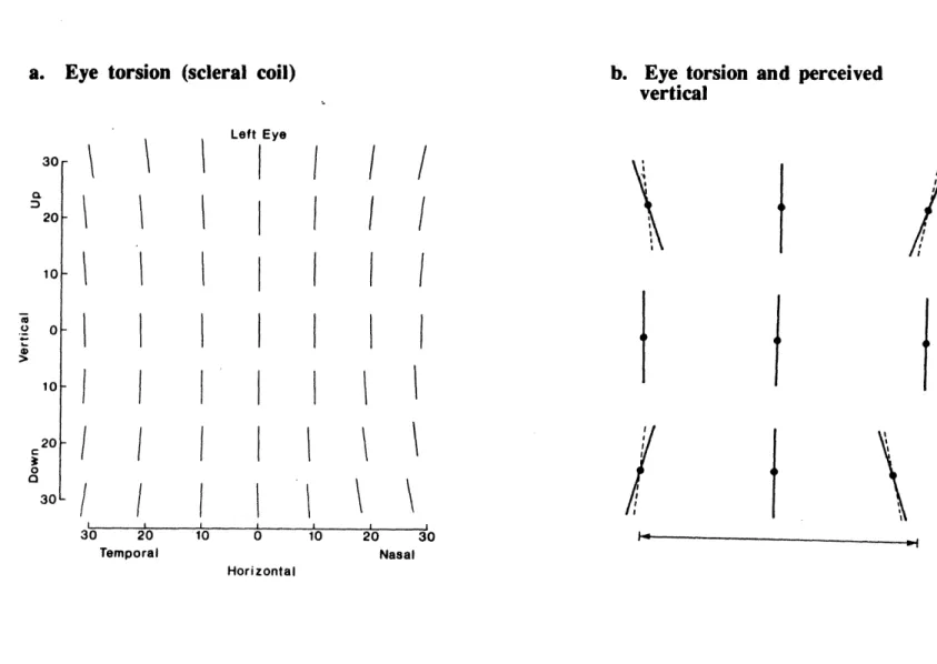 Figure  2.7.  Eye  torsion  and  perception  of  the  vertical  resulting  from  Listing's  Law