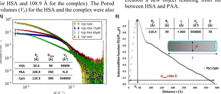Figure 3. A)  Scattering intensities of [HSA]=75 µM (blue curve), [PAA]= 60 µM (green curve), the mixture of HSA and PAA at  same concentrations (yellow curve) and the sum of both contributions without interaction (red curve)