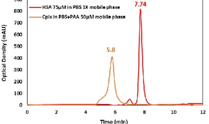 Figure 4. Comparison of chromatographic profiles for HSA  75 µM in PBS 1X mobile phase (red peak) and for (75 µM-50  µM) HSA-PAA mixture in PBS+50 µM PAA solution mobile 