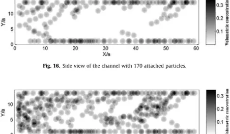 Fig. 16. Side view of the channel with 170 attached particles.
