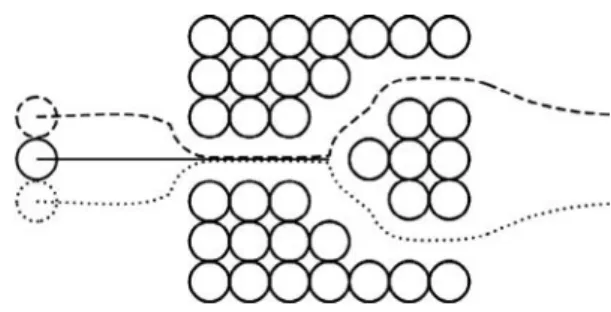 Fig. 7. Different particle trajectories in a 3D channel under Poiseuille ﬂow (normalized velocity V ¼ 4:5 at Y=2)