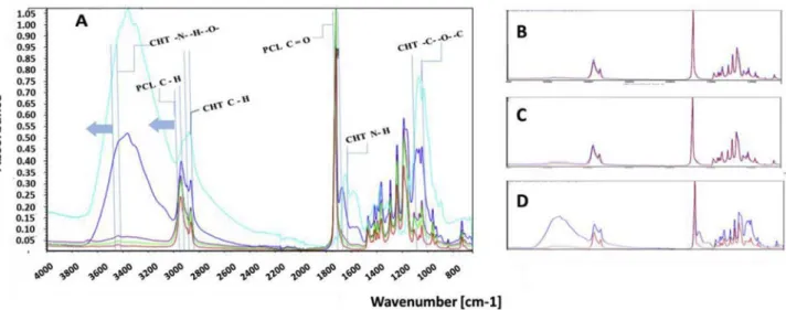 Fig. 5. Chemical mapping of PCL/CHT blends on either surface on the same membrane where; C=O for PCL observed at 1726 cm −1 and hydrogen bonded N–H and O–H observed at 3364 cm −1 