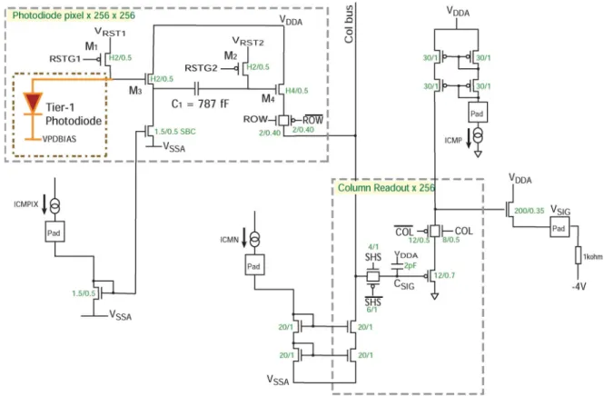 Fig. 1. Schematic of the described device. Only signal readout chain is shown here; row and column decoders are omitted.