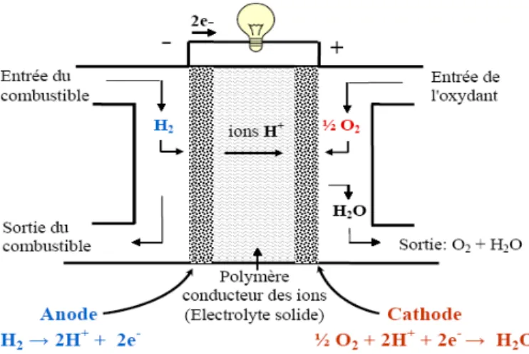 Figure 2: Principe de fonctionnement d’une pile à membrane échangeuse de protons. 