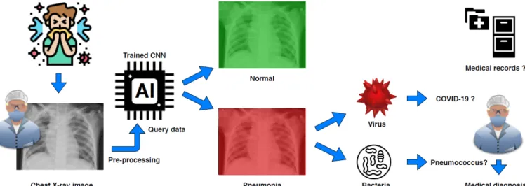 Fig. 1: Global workflow using deep learning for automatic detection of infection towards supporting COVID-19 screening from chest X-ray images