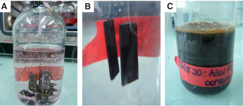 Table 9A summarises the bacterial diversity found in the pigging debris extracted from 4 pigging operations performed in the water installation after matching each sequencing result with the most closely related sequence found in the database of the Nation