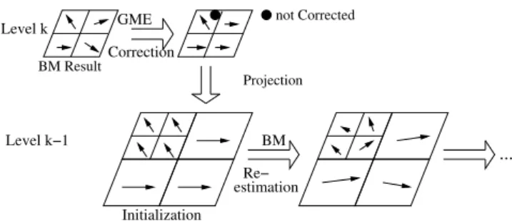 Figure 2: Motion Vectors projection using outlier information