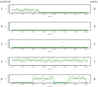 Figure 1. Read depth along a single scaffold. Read depth along a single scaffold in five hybrids