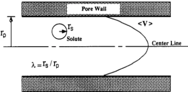 Figure 1.  Probe  solute translating through a membrane pore. 