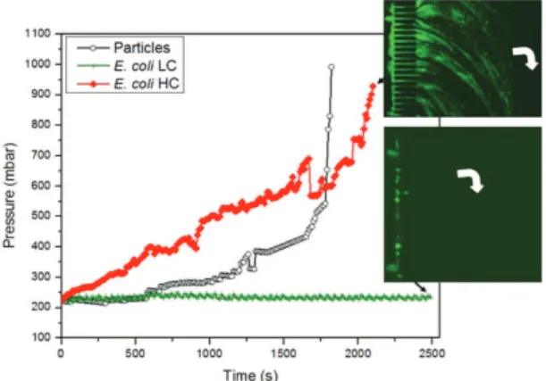 Figure 4 shows comparison of the clogging dynamics of E. coli-only and polystyrene-only suspensions with  the mixture of the two at the same volume fraction and ionic strength (Table 1)
