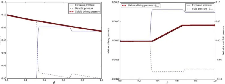 Fig. 10. The dynamic variations of the dimensionless ﬂuid pressure, pˆ, through the membrane during osmosis