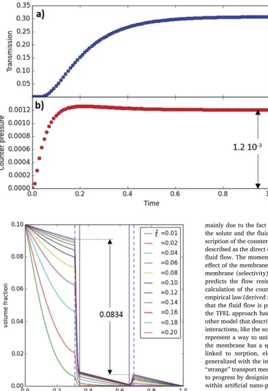 Fig. 6. The dynamic variation of the volume fraction through the membrane during os- os-mosis