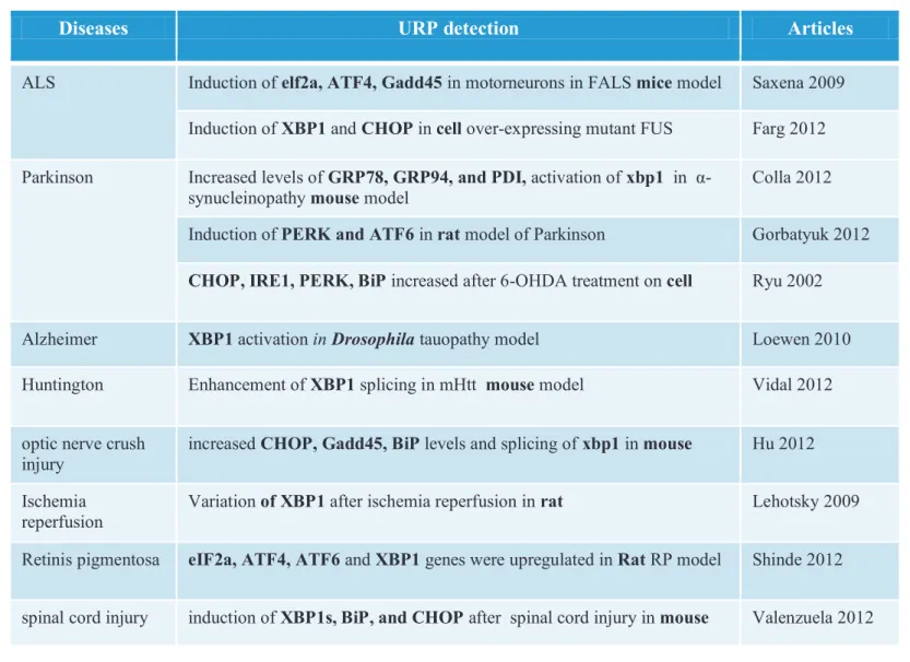 Table 3: Unfolded protein response detection in animal models of neurodegenerative diseases 