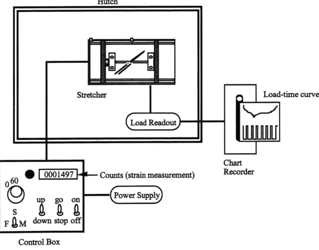 Figure 4.10.  Schematic  of the experimental  set up at X12B, NSLS,  BNL.