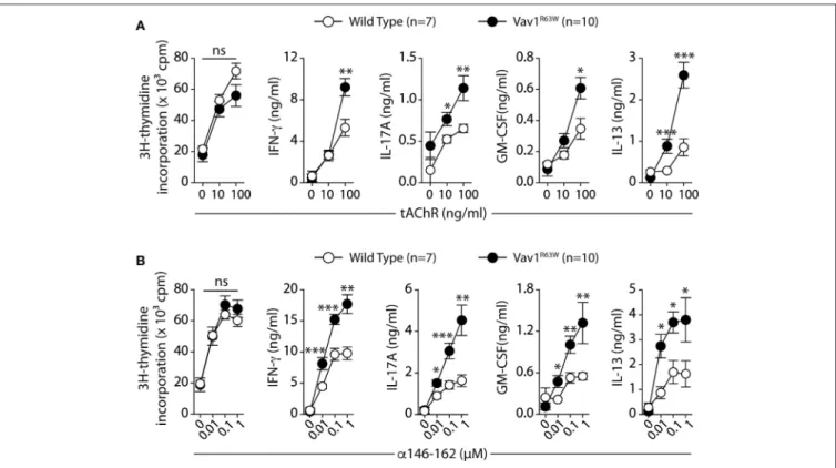 FIGURE 2 | Production of cytokines after tAChR immunization of WT and Vav1 R63W mice. WT or Vav1 R63W mice were immunized with 10 µg of tAChR in CFA.