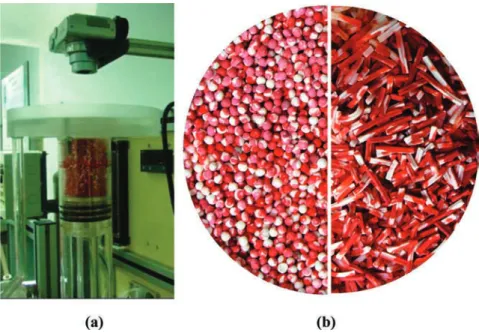 Figure 1. Photographs of (a) fixed bed column for dye-adsorption and (b) column cross-sections.