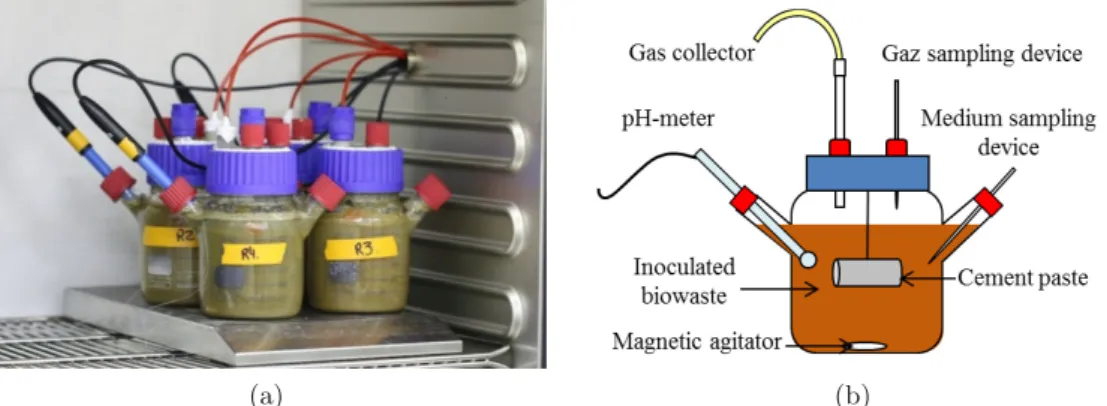 Fig. 1. (a) Picture of the experimental tests for the exposure of cement pastes to digested biowastes and (b) schematic representation of the anaerobic bioreactors placed on a magnetic plate for mixing purposes and kept in an oven regulated at 37 ◦ C.