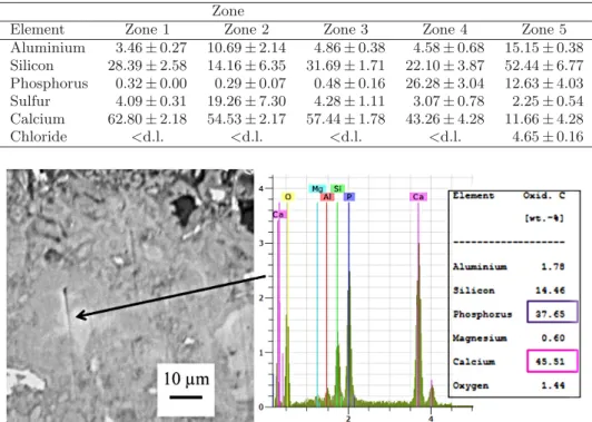 Table 1. Average chemical composition (calculated on 6 analyses of circular zones 5 µm in diameter) and standard deviations in mass percentages in the diﬀerent zones deﬁned on Figure 5 (d.l.: detection limit).