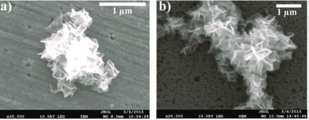 Fig. 2. SEM pictures of iron electrodeposits formed after a cathodic cycle by voltamperometry (starting at 0.2 V/SCE, reversed at -1.3 V/SCE, stopped at -0.8 V/SCE) using Mohr’s salt solution for the gold electrode a) and for the VC2 electrode b) respectiv
