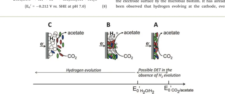 Fig. 10 Scheme of different potential zones relating to the conversion of CO 2 to acetate vs