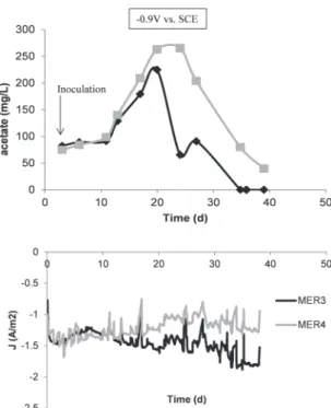 Fig. 4 Cyclic voltammetries recorded at 1 mV s ÿ1 . (A) CV recorded before bacteria injection (abiotic) and after 1 day of polarization (T + 1) at ÿ0.36 V vs.