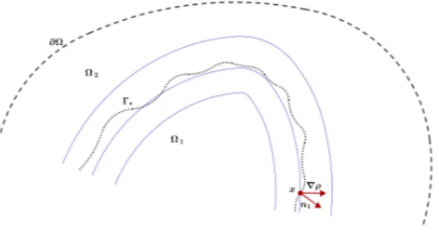 Figure 1: The thin continuous lines represent the level curves of the convex function ρ