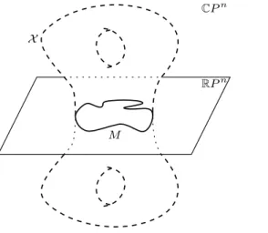 Figure 1: Two examples of a real Riemann surface X embedded in C P n and its real locus M 