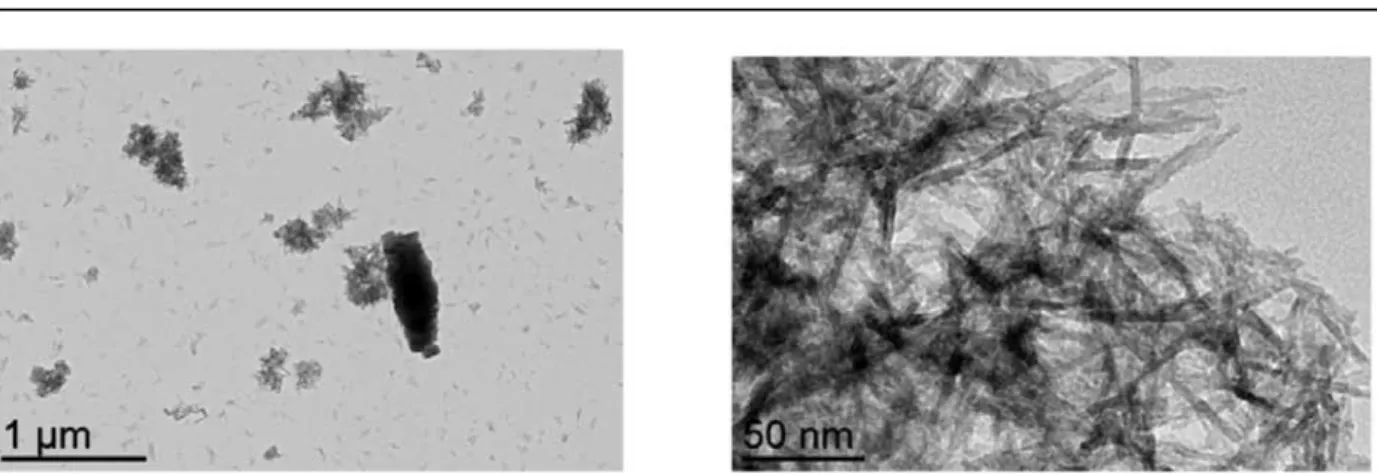 Figure 6. TEM images of hydrated alumina samples resulting from electrolysis with 0.1 mol/L Na 2 SO 4 
