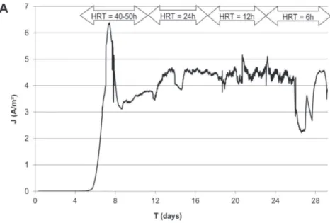 Fig. 1. Microbial bioanode formed and operated in continuous mode under constant polarization at ÿ0.3 V/SCE