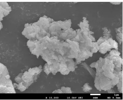 Figure 4. SEM imaging of Ca(OH) 2  particles. 