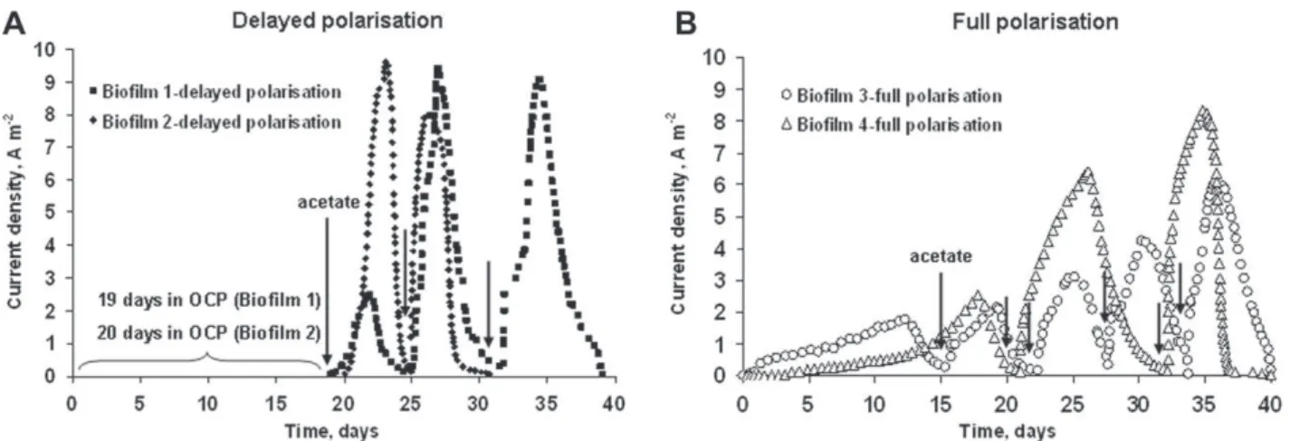 Fig. 4. Cyclic voltammograms (1 mV s ÿ 1 ) recorded at different days around maximal current production on: (A) biofilm formed by delayed polarisation (Fig