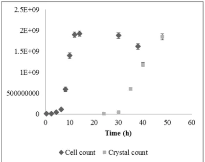 Fig 3: Cell and crystal count variation throughout the fermentation of “Lip” in a 5 L bioreactor 