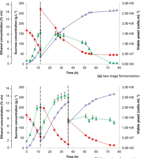 Fig. 3 e Kinetics of sugar ( ), ethanol ( ) and viable yeast cells ( ) concentrations during: (a) the two-stage batch fermentation and (b): the three-stage batch fermentation