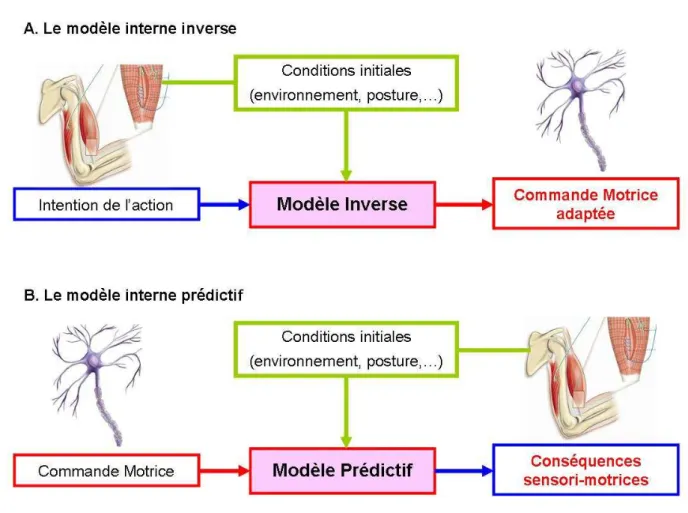 Figure  2  Illustrations  des  entrées  et  sorties  des  deux  différents  modèles  internes